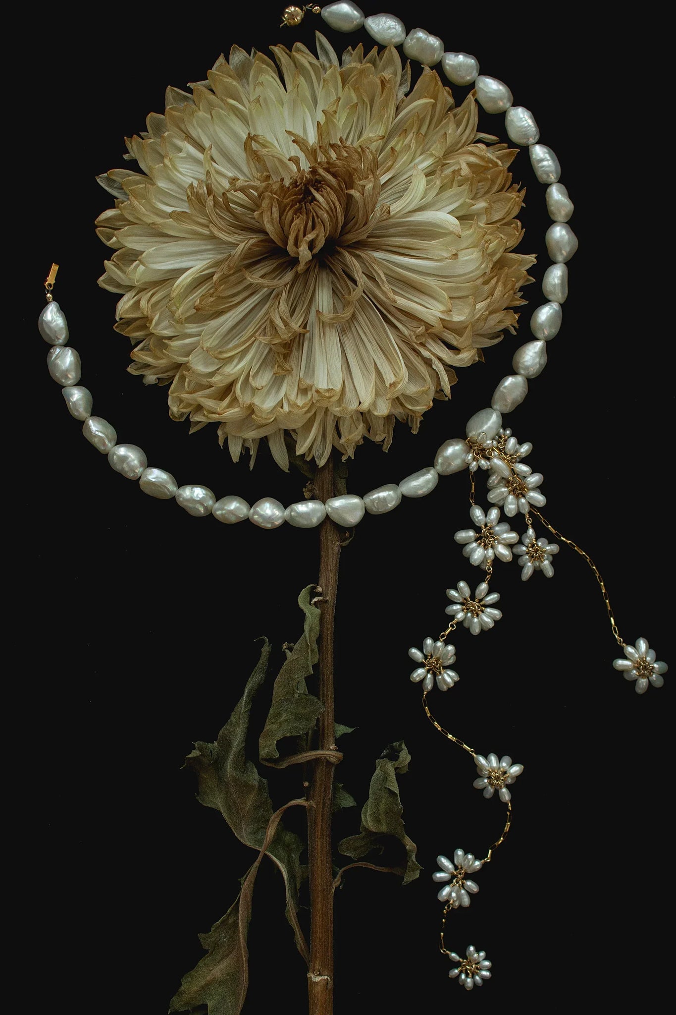 Cascading Back Drop Necklace